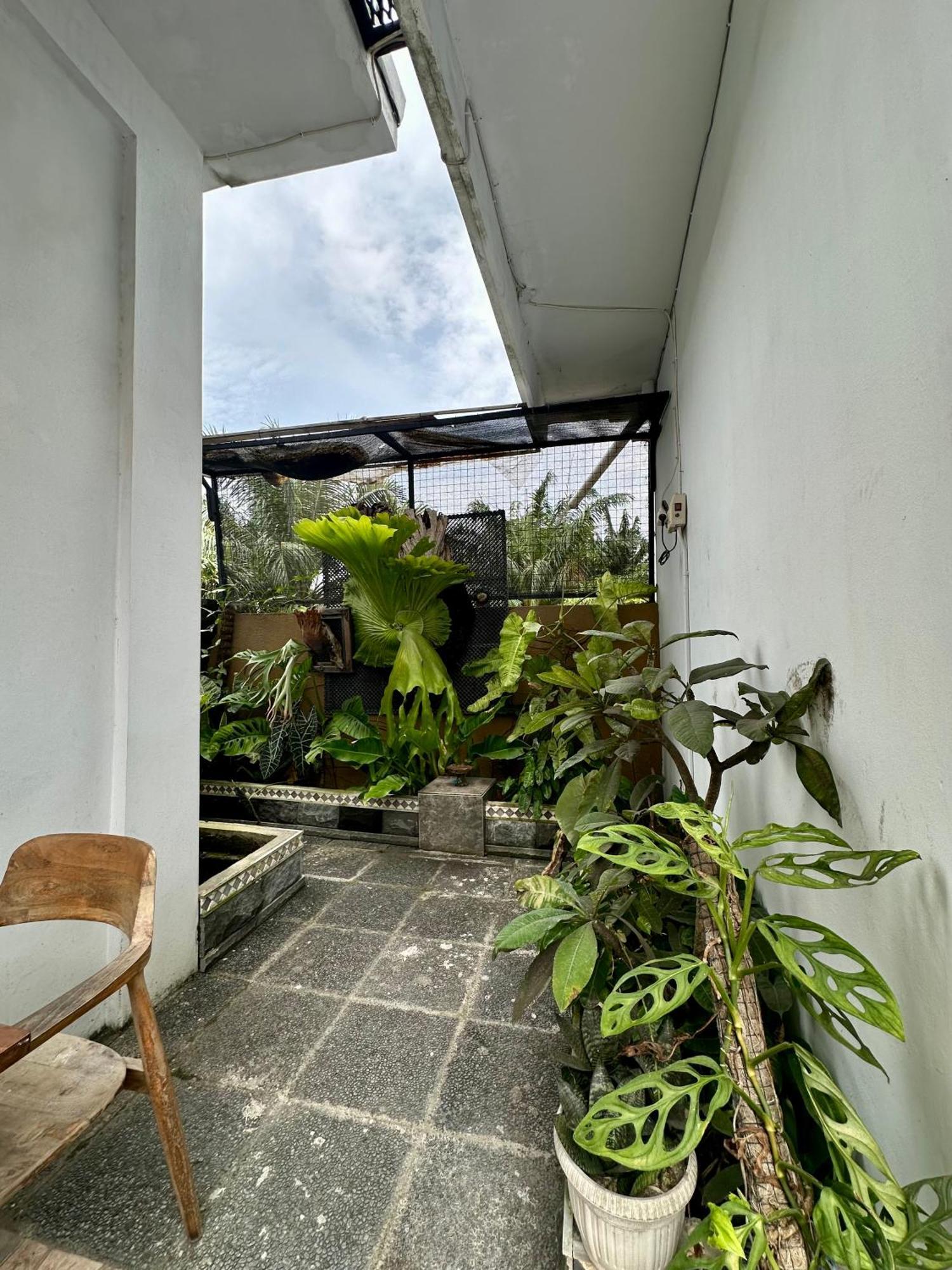 Rumah Kita 캉구 외부 사진